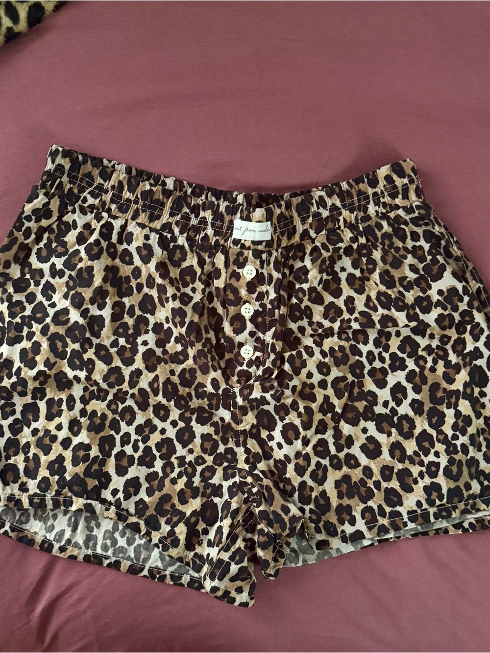 S NWOT Urban Outfitters Leopard Print Women’s Shorts
